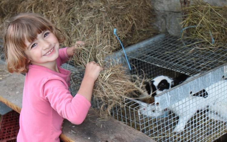 Ferme Pedagogique " L'Bout D'Chemin" Vila Genevreuille Exterior foto