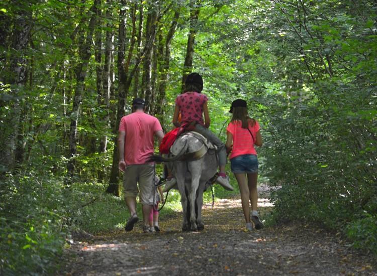Ferme Pedagogique " L'Bout D'Chemin" Vila Genevreuille Exterior foto