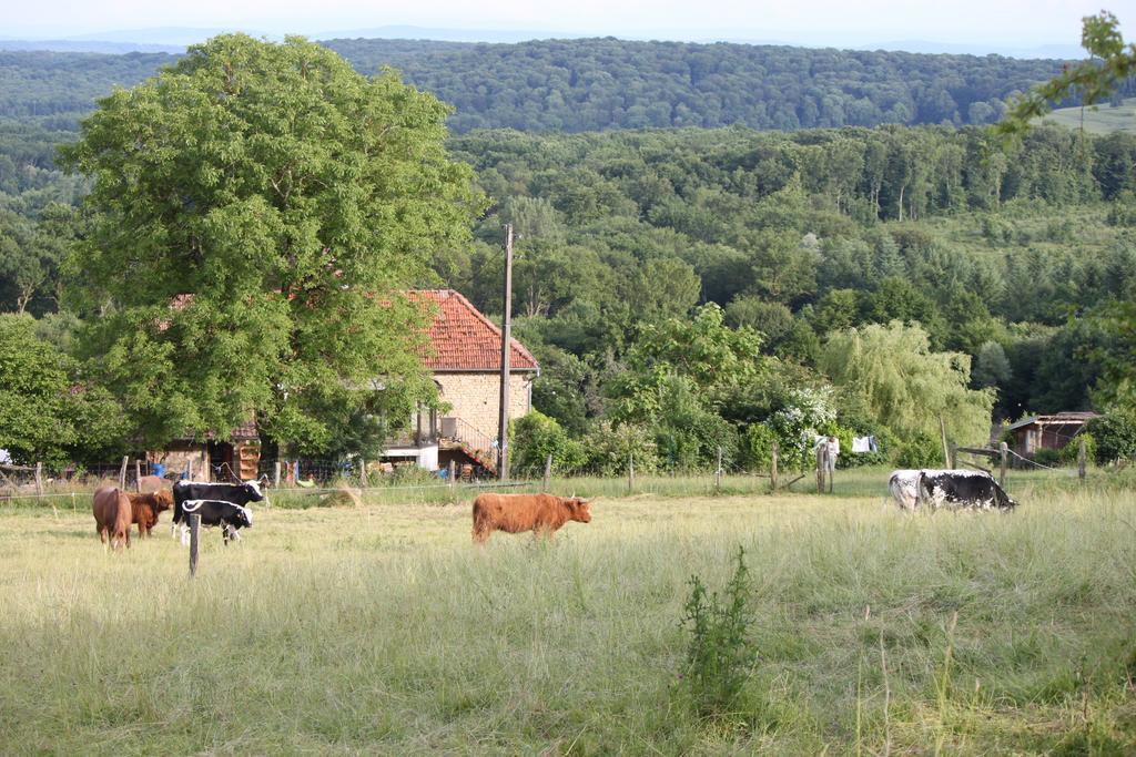 Ferme Pedagogique " L'Bout D'Chemin" Vila Genevreuille Exterior foto